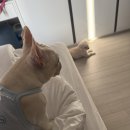 가랑회관 | 일산 메가주 방문 후기