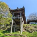 J0603 | 충남 서산 부석사 및 자연뷰찻집 - 도비산다원 (by. 맛간다람쥐a)