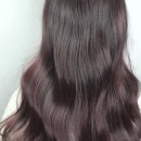 멍루아 펫살롱 | 루아살롱에서 나만의 맞춤 헤어 스타일을 찾아봤답니다요