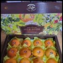 푸르른 농장 이미지