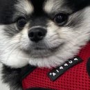 은계동물병원 이미지