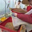 명성환경개발 이미지