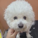 빛나개살롱 이미지