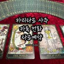디테일 타로사주.사업운, 자영업 매매운, 이사운, 사주이동수, 적중후기많은곳