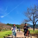 주암초등학교 이미지