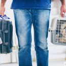 데려가개 이미지