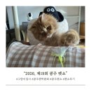 페따미꼬 | 2026년 제19회 광주펫쇼 방문 후기