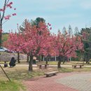 양산신-2021 이미지