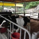 도농목장 이미지