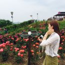 세영상회 - 중구 큰장로26길 25 | 세영상회