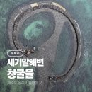 김녕환승정류장 | 제주 동쪽 가볼만한곳 당일치기여행 청굴물 물때 세기알해변