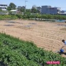 심지농장 이미지