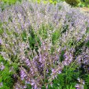 장성토박이공인중개사사무소 이미지