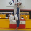 즐거운베스트태권도 이미지