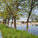 극락둑길 이미지