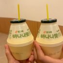 산정공원2 | 한화리조트 산정호수 안시 디럭스 싱글 트윈 후기 : 겨울 국내 온천 추천, 포천 1박2일 여행 추천