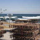 구룡포대게과메기해산물 이미지