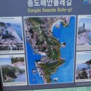 부산 송도해안 볼레길 2구간 : 태고의 숲길 이미지