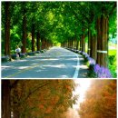 24호선 국도변 이미지