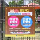 포리더푸들 | 광주 강아지운동장 무료 풍암 반려견놀이터 정식개장 전 방문후기