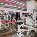 마운틴 휘트니스 이미지