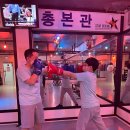스타복싱 총본관 이미지