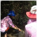 탄동천-1 이미지