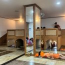 신봉녹주불한증사우나 이미지