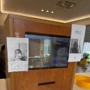 강아지나라 | 🐶부산 애견동반 강아지 찜질방 [휴일도] 토리랑 찜질하고 힐링하고 온 후기✨❤️