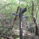 용장4리 이미지