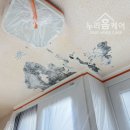 부평동아 | 인천 탄성코트 부평 동아아파트 베란다 누수 결로 곰팡이 해결 단열페인트 실리카 시공 후기