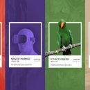 조광페인트 이미지