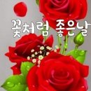 송탄농협고덕지점 이미지