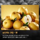 호호과일 이미지