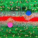 생명의 기호 Symbol of Life/조원영 이미지