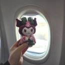 삼성담구클럽 | 일본 사가 여행 티웨이항공 NOL 왕복 항공권 예매후기