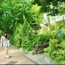 대성카쎈타 - 동작구 여의대방로24길 46 | 대성카쎈타