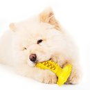 말랑말랑 이미지