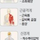 여자 왼쪽 가슴 위 통증 찌릿 이미지