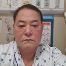 노들가 Daum카페