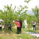 강학1리 이미지