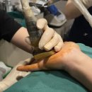 의성수지 이미지