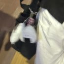 예의 | 사위 생일이라고? 그럼 장모가 참석해야 예의겠지 /앤팀 죠 생카 후기