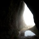 기체육공원 이미지