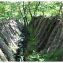 라원농장 이미지