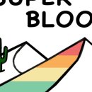 크로스핏 블룸 이미지