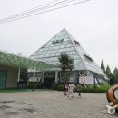 루프앤독 이미지