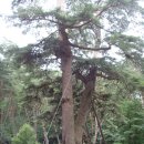 단종역사관 이미지