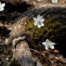 가야3리 경로당 이미지