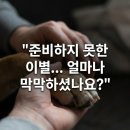 타임투반려동물 장례식장 이미지